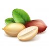 Peanuts with leaves Vector realistic peanut kernels with leaves closeup side view isolated on white background